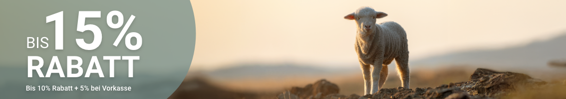Landigpage Banner