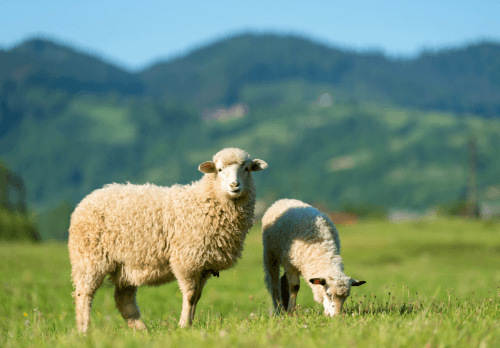 Im Schoße der Natur